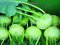 Noriko