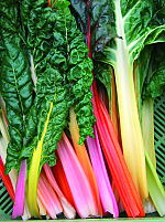Five Colours