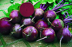 Rote Kugel 2