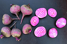 Tondo di Gioggia