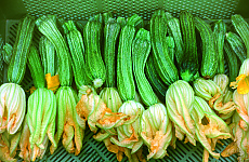 Costates Romanesco