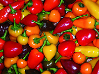 Chili-Mix