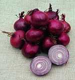 Cibule osivo Rote Laaer