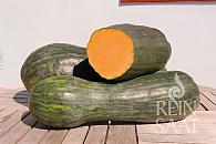 Tykev Langer von Neapel
