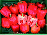 Paprika Albaregia